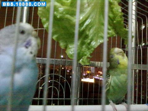 20100610505.JPG