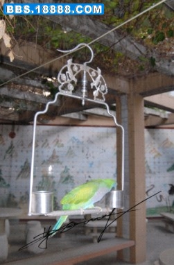 2010年6月8日的小小02.jpg