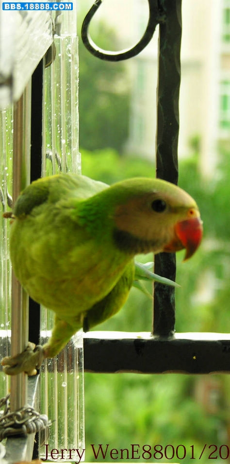DSCN2360.JPG