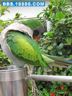 IMG_2873.jpg