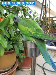 IMG_2854.jpg
