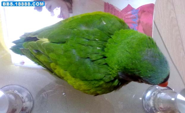 20100607086.jpg