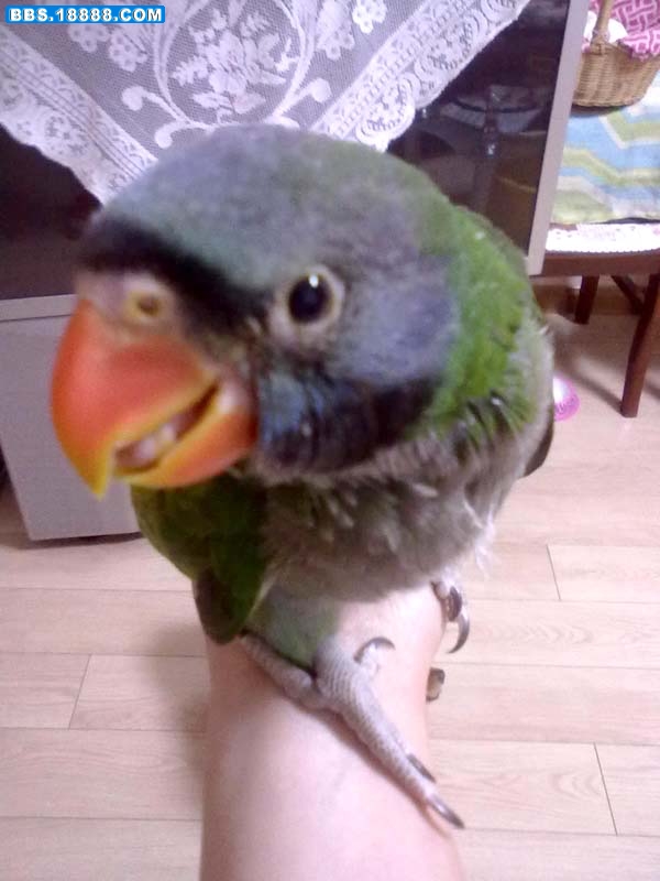 20100607082.jpg