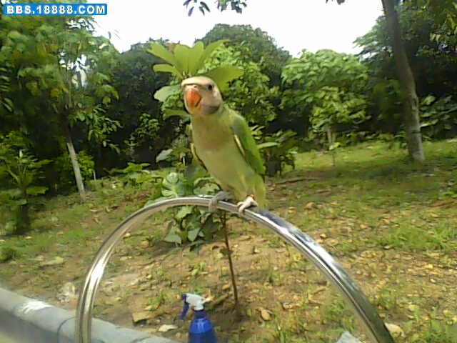 IMG0360A.jpg