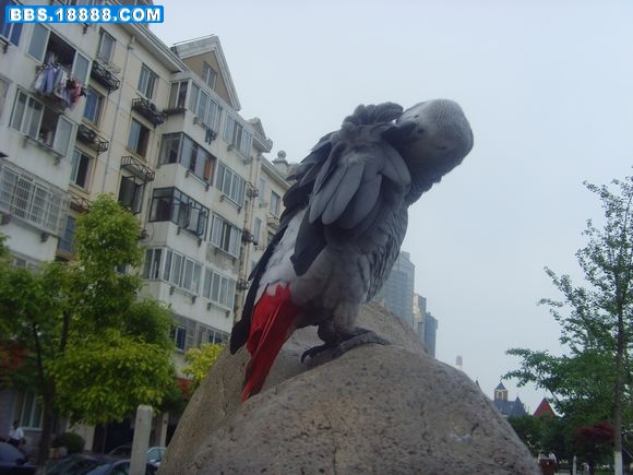 SNV38668.JPG