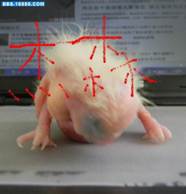 未命名1021.JPG