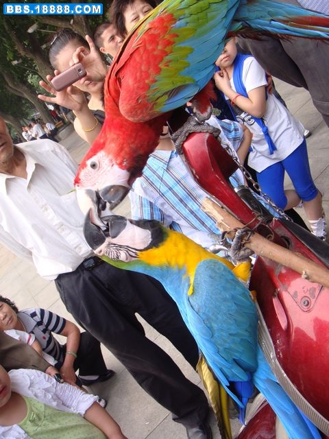 DSC02721.JPG