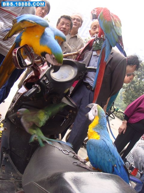 DSC02719.JPG