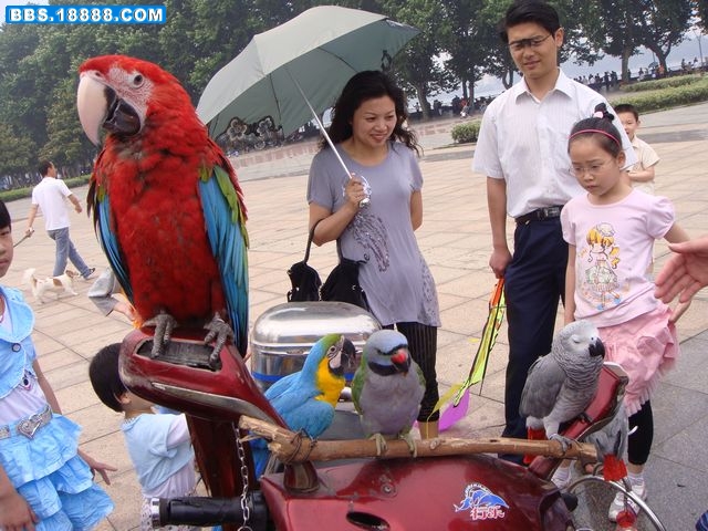 DSC02725.JPG