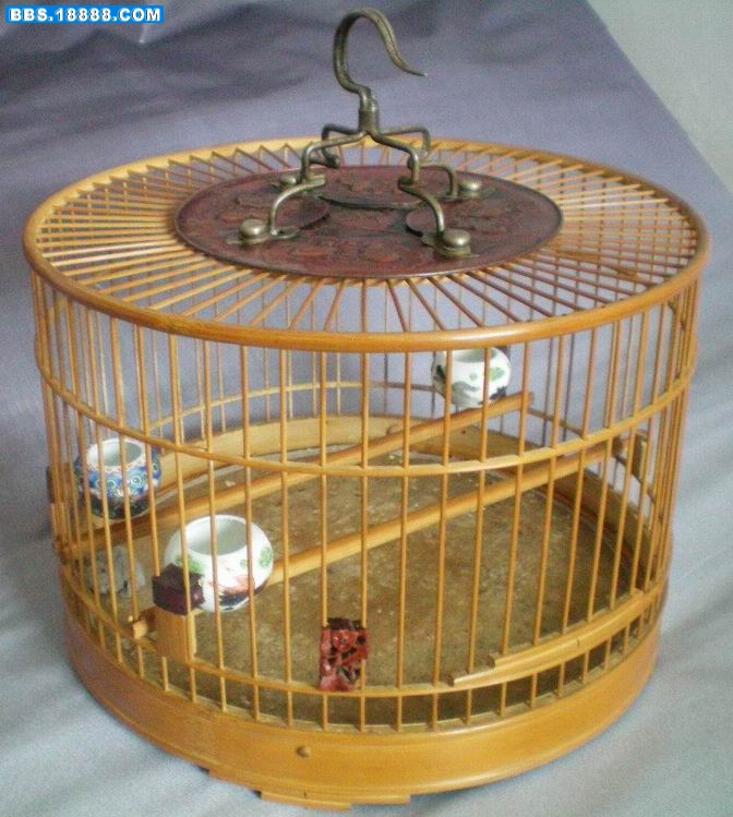 照片 026.jpg