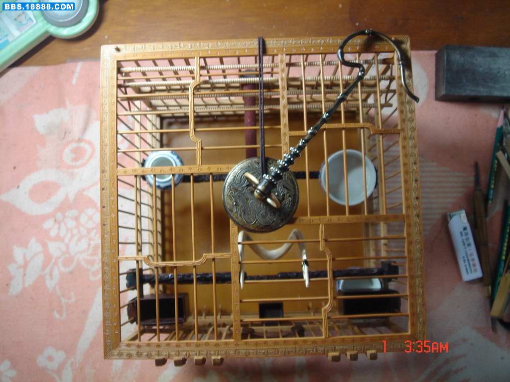 DSC01631.JPG