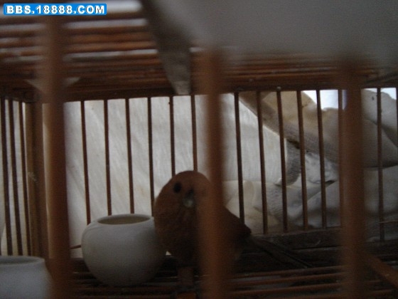 img008.jpg