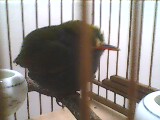 IMG0035A.jpg