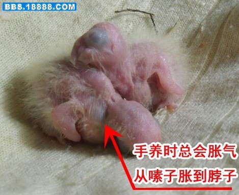 小玄.jpg