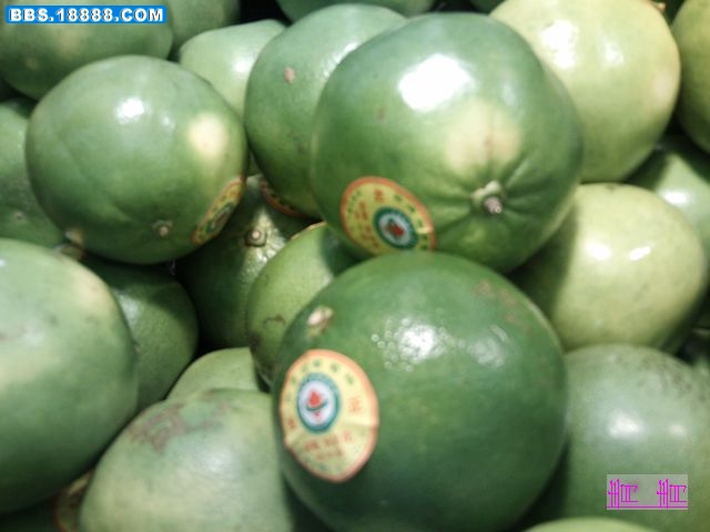 nEO_IMG_PICT0412.jpg