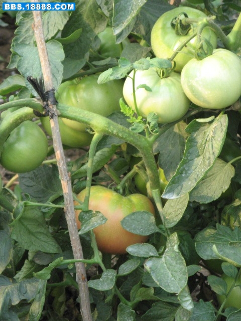 新照片 343.jpg