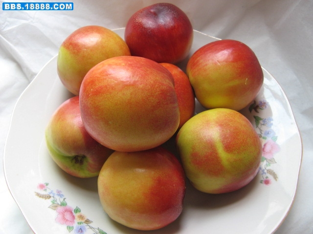新照片 200.jpg