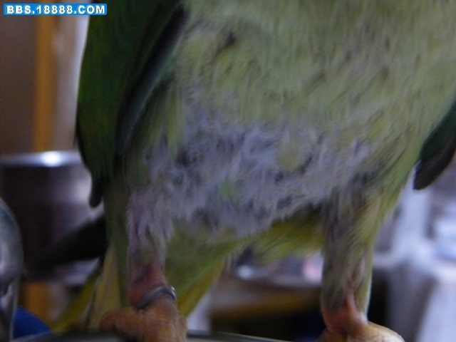 DSCF0273.JPG