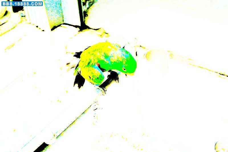 照片 068.jpg