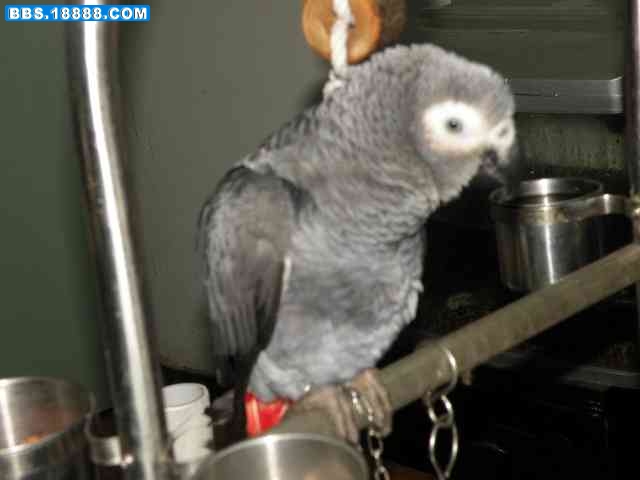 DSCN7597.JPG