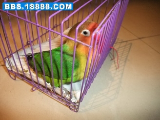 3_调整大小_调整大小.JPG