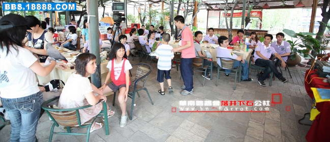 华南鹦鹉会五周年.197.jpg
