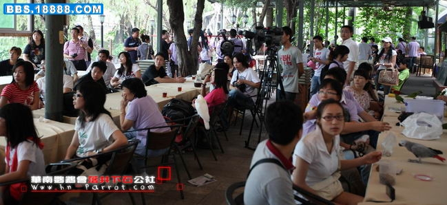 华南鹦鹉会五周年.095.jpg