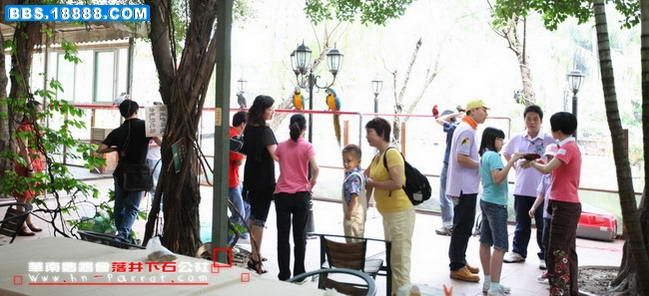 华南鹦鹉会五周年.010.jpg
