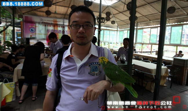 华南鹦鹉会五周年.018.jpg