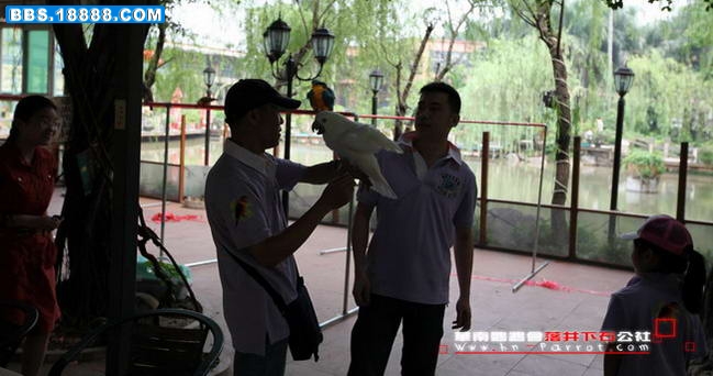 华南鹦鹉会五周年.001.jpg