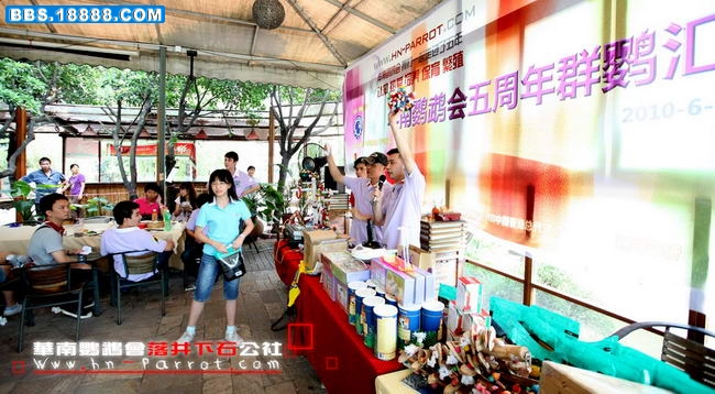 华南鹦鹉会五周年.157.jpg