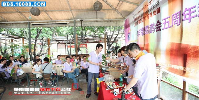 华南鹦鹉会五周年.199.jpg