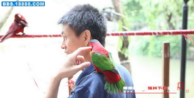 华南鹦鹉会五周年.009.jpg