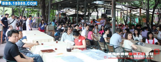 华南鹦鹉会五周年.083.jpg