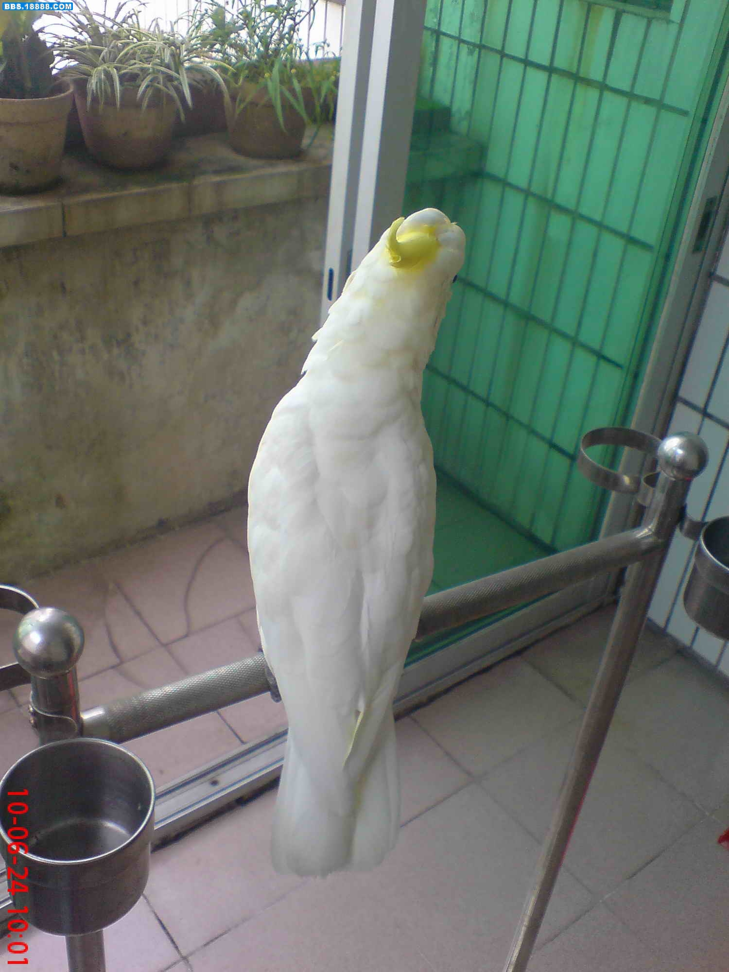 DSC04481.JPG