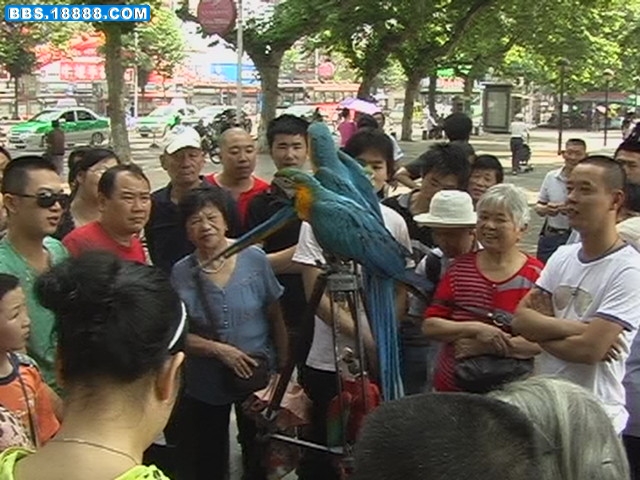 照片 150.jpg