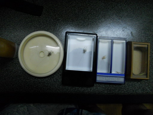 DSCN0003.jpg