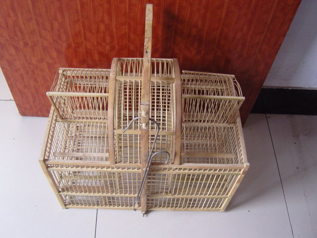 SNC10885.jpg