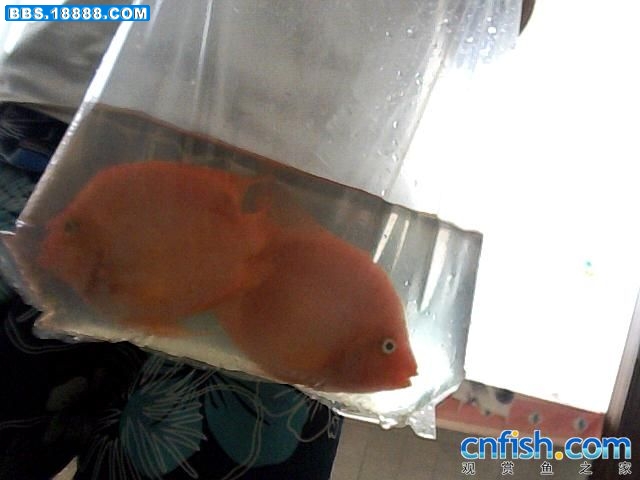 图片 017.jpg