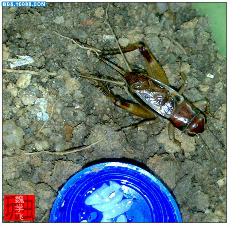 20100613675.jpg