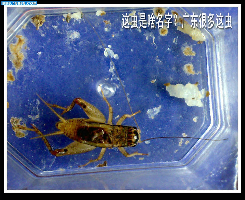 20100610468.jpg