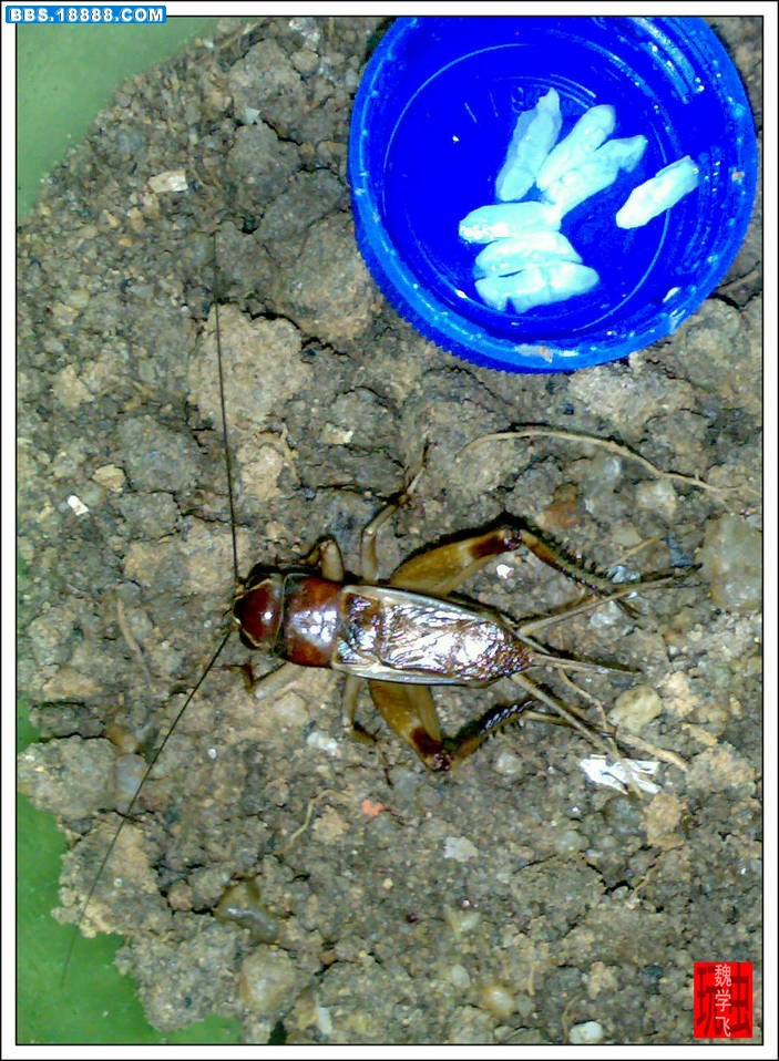 20100613658.jpg