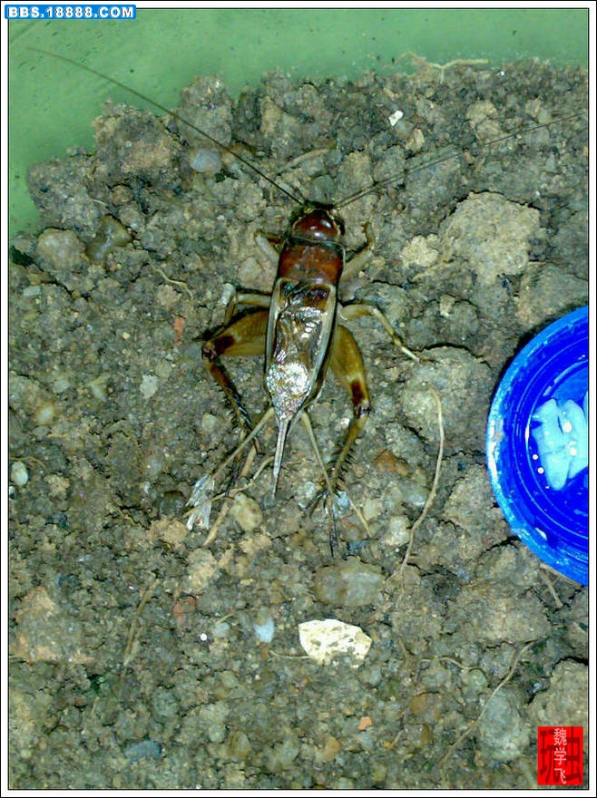 20100613666.jpg