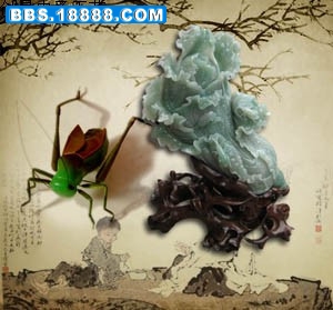 T1epJyXfBuXXcNLBrb_094757_jpg_310x310.jpg