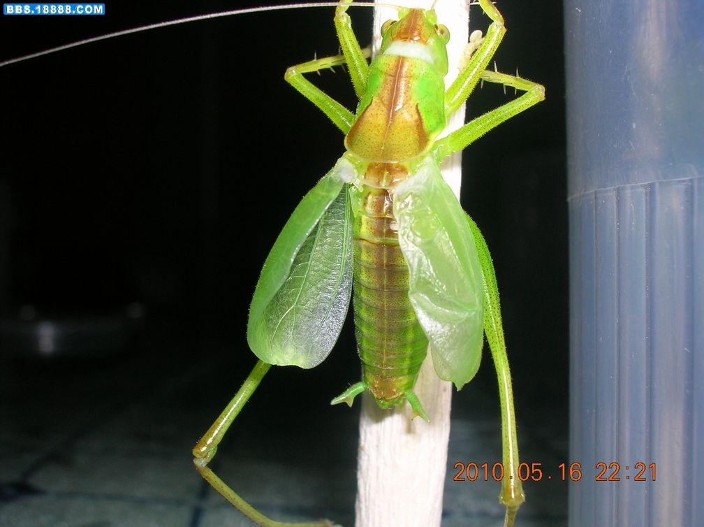 DSCN8027.jpg
