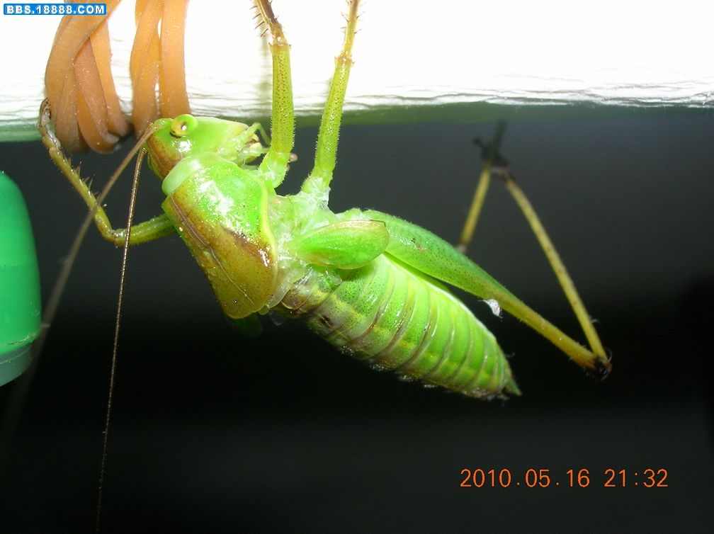 DSCN7912.jpg