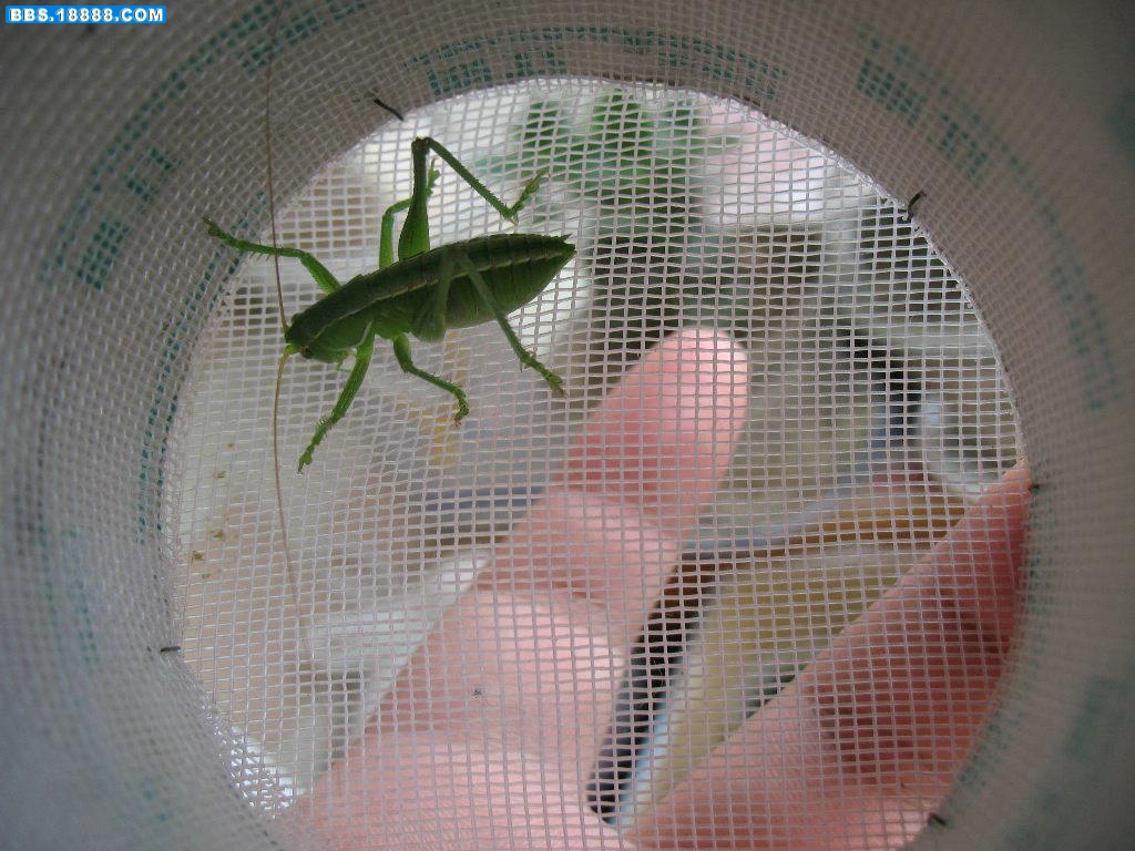 复件 IMG_0817.jpg