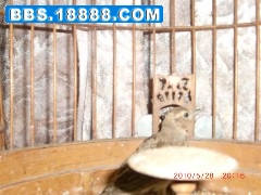 cimg0899_副本.jpg