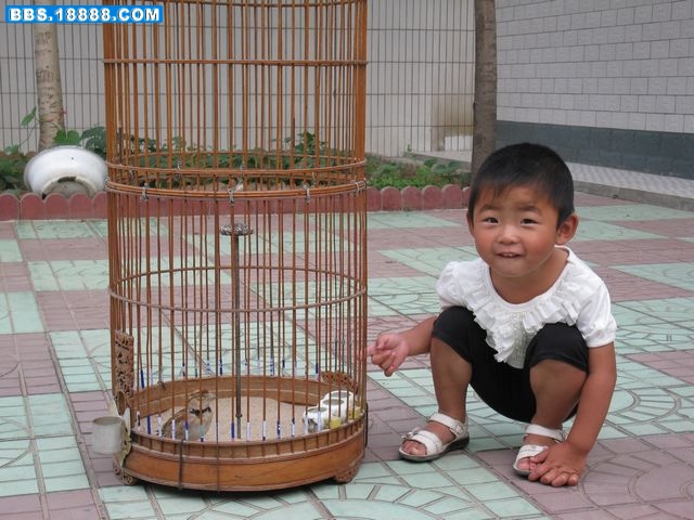 照片 002.jpg