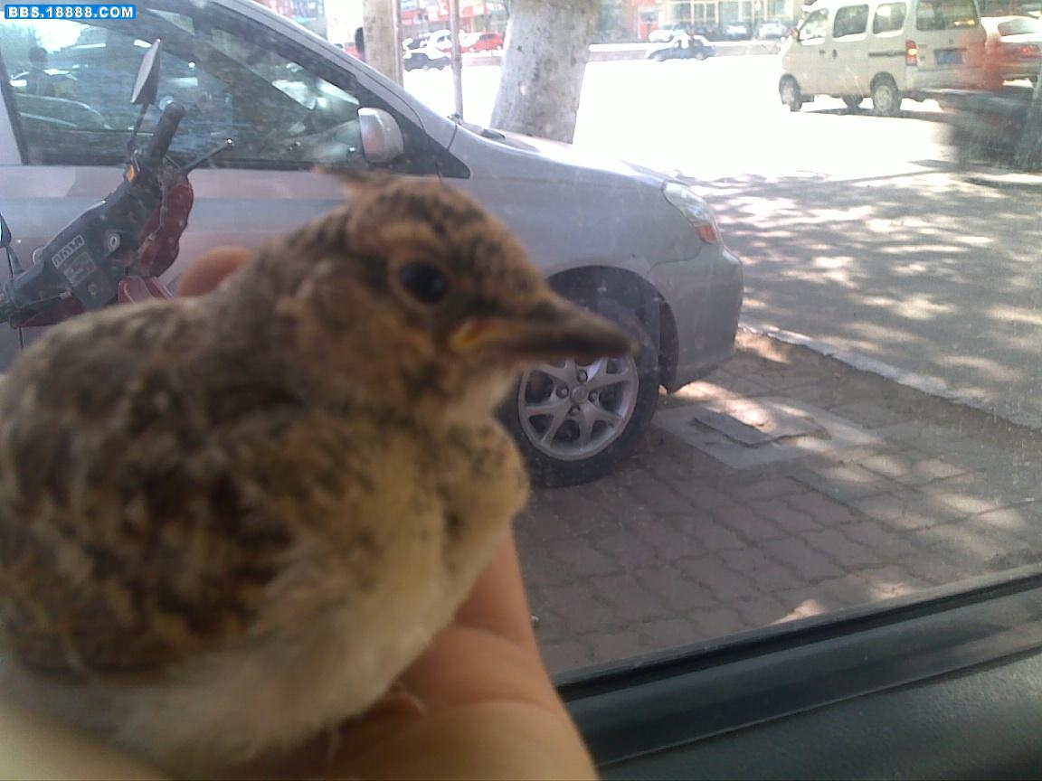 20100510104.jpg
